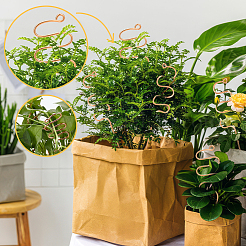 Поддержка роста медного завода&nbsp;DIY-NB00007