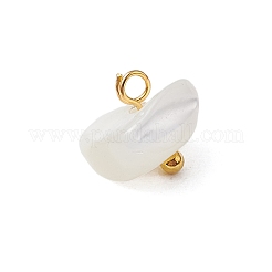 Натуральные трохус ракушки самородки амулеты&nbsp;PALLOY-JF03439-01