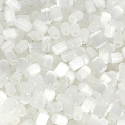 600 perle de verre de style banc à étirer&nbsp;SEED-PA0001-25B