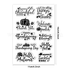 Klarsichtstempel aus PVC-Kunststoff&nbsp;DIY-WH0631-0379