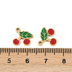 Фрукты 304 нержавеющая сталь эмалированные подвески&nbsp;STAS-C137-04A-G