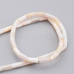 Conchiglia naturale fili di perle&nbsp;BSHE-P012-20