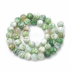 Окрашенные натуральные хрустящие агатовые бусинки&nbsp;G-T100-03E