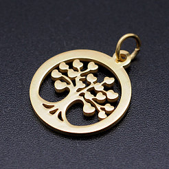 Pendentifs en acier inoxydable 304&nbsp;LS-STAS-T046-JA350-2