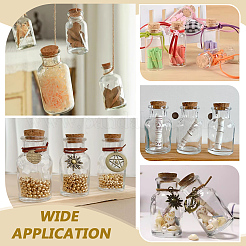 12 Stück 6 Stile Glasflasche&nbsp;AJEW-UN00051