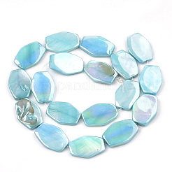 Brins de perles de coquille d'eau douce de couleur ab&nbsp;X-SHEL-T009-04
