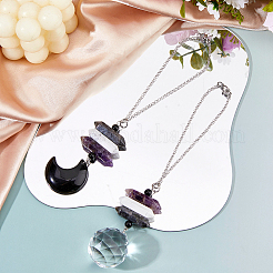 2 шт. 2 стиля натуральный ларвикит и хаулит и аметист двухконечный кулон украшение&nbsp;HJEW-FH00213