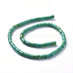 Fili di perline di magnesite naturale&nbsp;TURQ-G152-F01