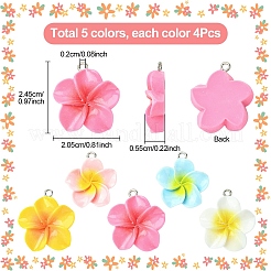 20 шт. подвески из смолы плюмерия 5 цветов&nbsp;RESI-YW0004-66