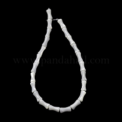 Natürliche Trochidschale / Trochusschalenperlenstränge&nbsp;SH-CBA2978-12