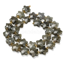 Natürliche graue Labradoritperlenstränge&nbsp;G-L657-A02-01