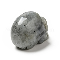Decorazioni espositive in labradorite naturale di halloween&nbsp;DJEW-K015-29