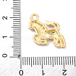 Подвески из эмали и сплава&nbsp;FIND-M060-26G-03