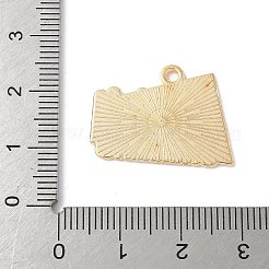 Pendentifs d'émail en alliage&nbsp;FIND-H047-04G-02