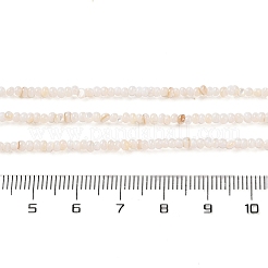Eau douce naturelle de coquillage perles brins&nbsp;SHEL-P017-01A-02