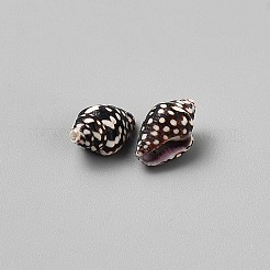 Perle di conchiglia naturale da 50 g&nbsp;SSHEL-WH0001-64