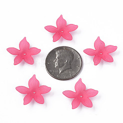 Прозрачные акриловые бусины&nbsp;MACR-S373-127-D