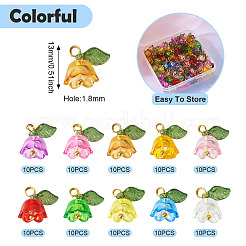 100шт 10 цвета прозрачные акриловые подвески&nbsp;PALLOY-TAC0097