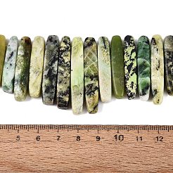 Cuentas serpentinas naturales hebras&nbsp;G-Q616-06D