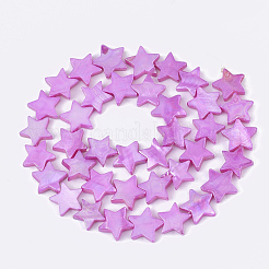 Chapelets de perles en coquille d'eau douce &nbsp;SHEL-S276-51
