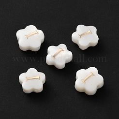 Natürliche weiße Muschelblumenperlen&nbsp;BSHE-WH0020-01I