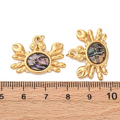 Подвески из натуральной ракушки пауа из нержавеющей стали 304&nbsp;STAS-U061-15G-E