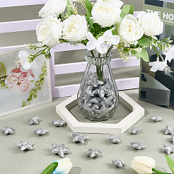 60 шт. 3 стиля звездных блестящих пенопластовых украшений&nbsp;AJEW-SP0002-91B