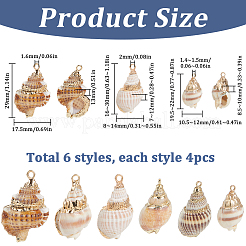 24 шт. 6 стиля подвески в форме ракушек с гальваническим покрытием&nbsp;SHEL-SC0001-59