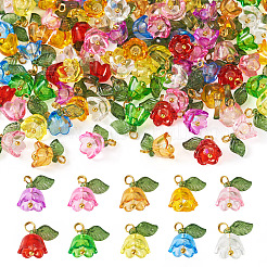 100шт 10 цвета прозрачные акриловые подвески&nbsp;PALLOY-TAC0097