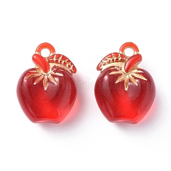 Прозрачные акриловые подвески&nbsp;OACR-P007-07