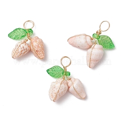 12 шт. 4 стиля подвески из натуральной морской ракушки в медной проволоке&nbsp;PALLOY-JF03611