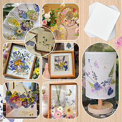 Papel gofrado seco&nbsp;DIY-WH0622-646B