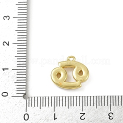 Breloques en laiton&nbsp;KK-M322-54G-04