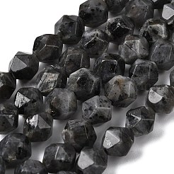 Натуральные нити бус из ларвикита&nbsp;G-Z119-A32-02