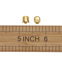 Железный шарик крышки&nbsp;IFIN-TA0001-07G