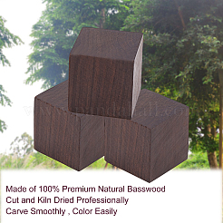 Des perles en bois naturel&nbsp;WOOD-WH0107-45E