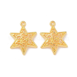 Colgantes de estilo tibetano&nbsp;LS-TIBEP-LF10571YKG-G-FF