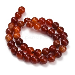 Chapelets de perles en cornaline naturelle&nbsp;GG-CBA1CAF-A01-10mm