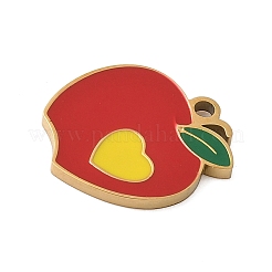 Подвески из эмалированной нержавеющей стали 304&nbsp;STAS-K312-07B-G