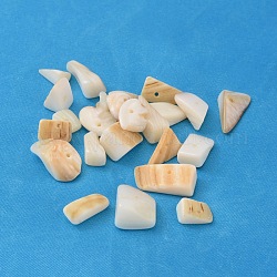 Perles de copeaux de coquille d'eau douce naturelles, tessons shell, teinte, blanc crème, 8~17x5~7x4~6mm, Trou: 1mm, environ 640 pcs/500 g