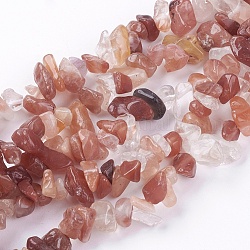 Brins de perles de pierre de cornaline naturelle, puce, 4~10x4~6x2~4mm, Trou: 1mm, Environ 320 pcs/chapelet, 35.4 pouce