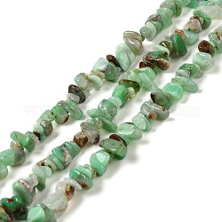 Hebras naturales de perlas de crisoprasa, chip, 5.5~14x5~7x2~5mm, agujero: 1 mm, 15.75~15.83 pulgada (40~40.2 cm)