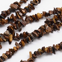 Chips Natural Tiger Eye Beads Strands, 3~8x3~12x3~5mm, Hole: 1mm, about 32 inch