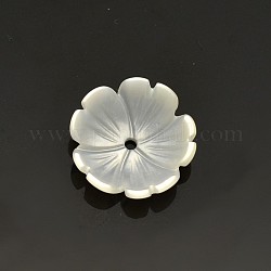 Blume natürlichen weißen Muschel Perlen, Perlmutt Muschelperlen, alte Spitze, 10x3 mm, Bohrung: 0.5 mm
