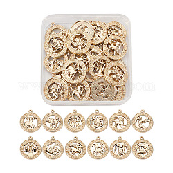 Accessoires de pendentif de bijoux en alliage de zinc fashewelry, série des douze constellations, or clair, 20x20mm, Trou: 2mm, 2, affecte / boîte