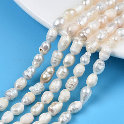 Natural Cultured Freshwater Pearl Beads Strands, Rice, Seashell Color, 5~11.5x5~6mm, Hole: 0.7mm, about 47~48pcs/strand, 13.58 inch~13.78 inch(34.5cm~35cm)