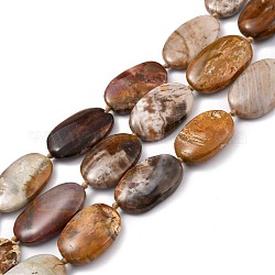 Chapelets de perles en bois pétrifié naturel, ovale, 24.5~28x17~18x5~6.5mm, Trou: 0.8mm, Environ 15 pcs/chapelet, 15.75'' (40 cm)