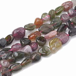 Chapelets de perles en tourmaline naturelle, ovale, 5~15x4~10x2~6mm, Trou: 1mm, Environ 40~60 pcs/chapelet, 15.7 pouce