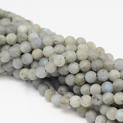 Round Natural Labradorite Bead Strands, Frosted, 10mm, Hole: 1mm, about 40pcs/strand, 15.74 inch