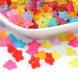 Transparent Acrylic Beads, Frosted Style, Petunia, Mixed Color, 9x4.5mm, Hole: 1.5mm, about 5290pcs/500g
